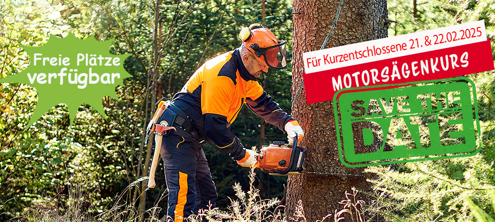 Baum wird gefällt